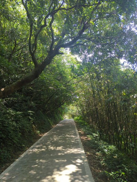 2025.09.13－情人湖步道&大武崙山2885827