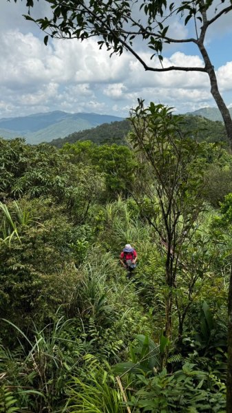 石龜山、叢雲山O走2592636