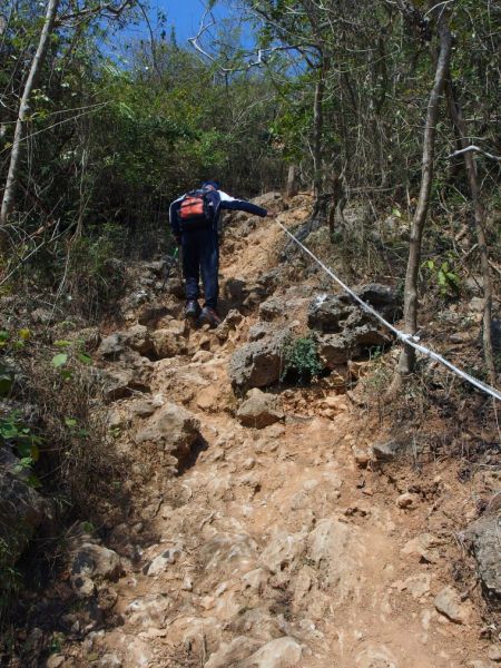 南壽山步道登小百岳275115