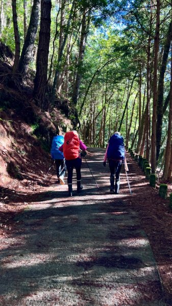 桃山、喀拉業2816806