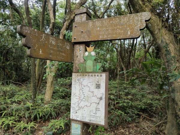 1140404大崙頭山親山步道3100028