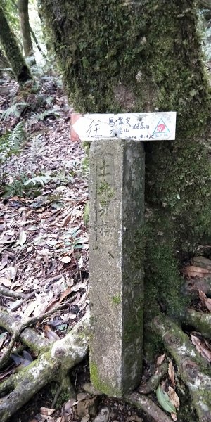 202102 小百岳李棟山，加碼魯壁山1292373