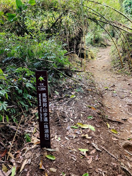 小百岳集起來-馬那邦山2181242