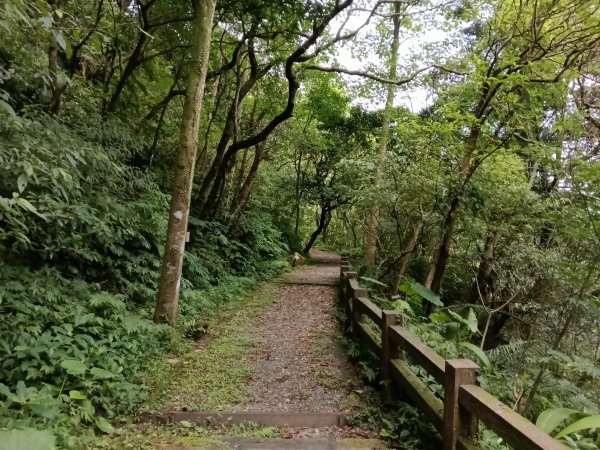 基隆市荖寮坑古道+十分古道(暖東舊道)+頂子寮山(嶺頭土地公)P字走2821491