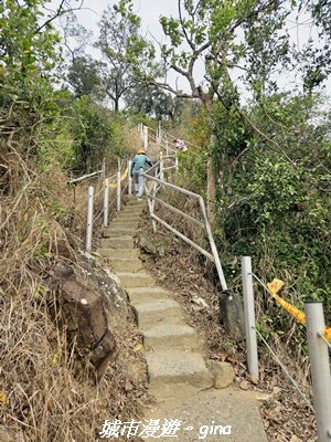 【高雄大社】小百岳大社觀音山步道3013121