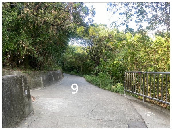 軍功寮山、大坑9、7、6、9-1步道 O型一圈2950762