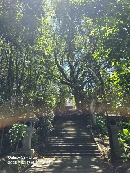 2025-08-17臺北大縱走第七段：世界山莊至飛龍步道政大後山2862373