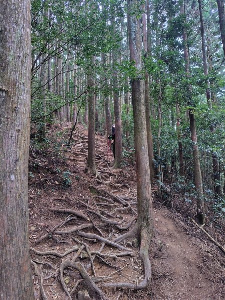 長壽山、肥崠山、醜崠山、大崠山、大崠山經建版2931528