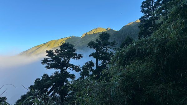 能高越嶺古道奇萊南華3095586