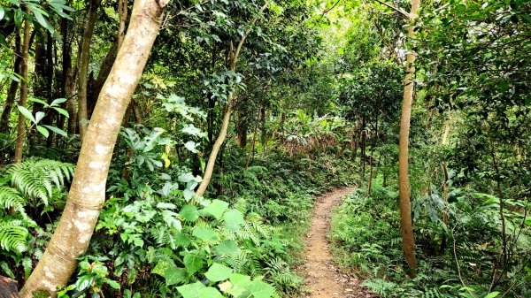 三峽雲森瀑布，竹崙山，水車寮林道，十七寮山，桃園虎頭山環保公園，虎嶺迎風步道，忠烈祠步道2234235