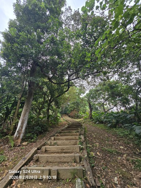 2026-02-28微笑山線：【大棟山系】405高地段3008685