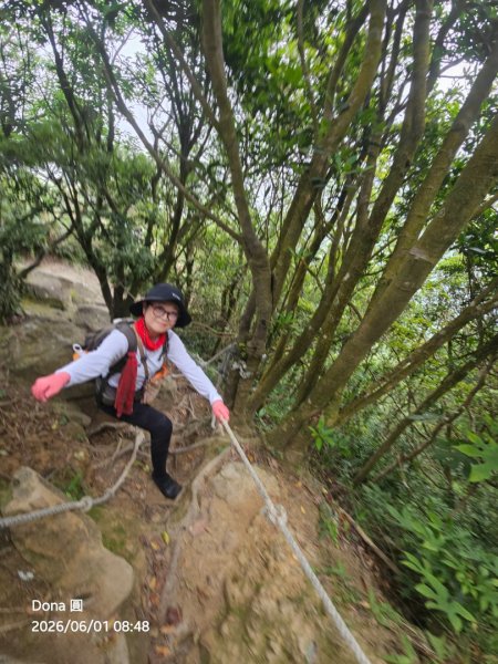新店小百岳獅頭山+古蹟遺址O走3071939