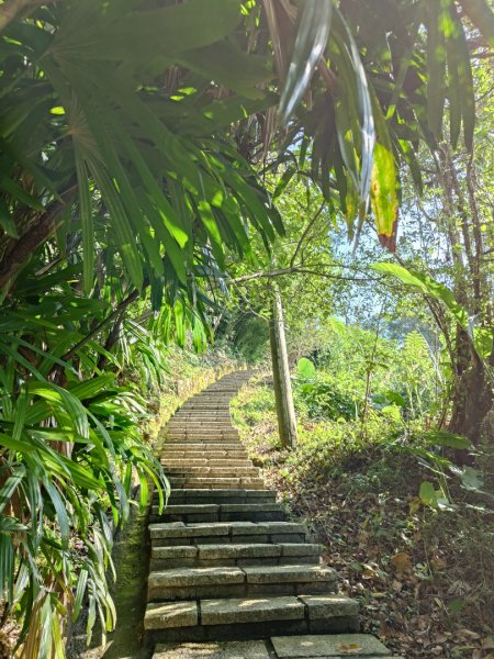 2023.12.08 土庫岳2695272