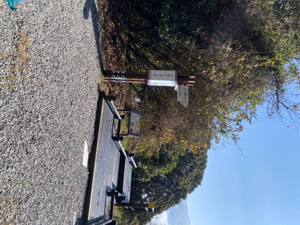 1140209雪見北坑山大板根2709963