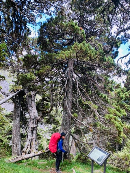 逆走雪山西稜下志佳陽1041267