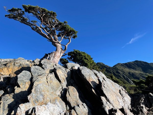 向陽日出，嘉明湖光2866221