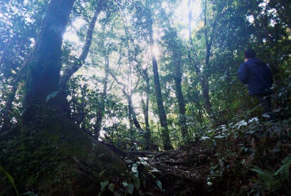 志繼山、東眼山O型1335793