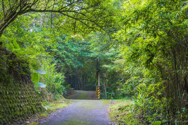 [新北]白雞山與裕峰煤礦遺址2891851