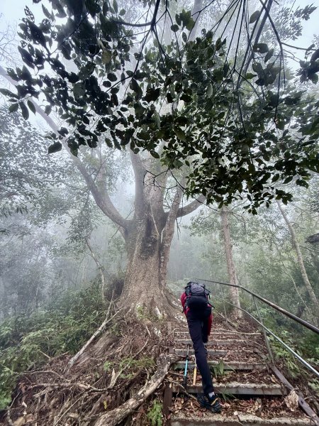 埔里撿基石-西關刀山西峰(貓頭山).牛眠山.三角嶺山(東南峰)  2024.12.142669872