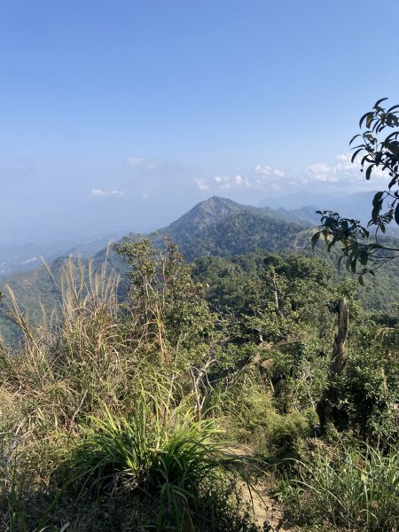 20260219九龍山+崩山+黑石崁山南峰+黑石崁山+凍仔頂山3002564