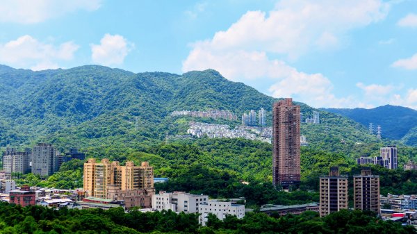 水返腳的青苔記憶3082850