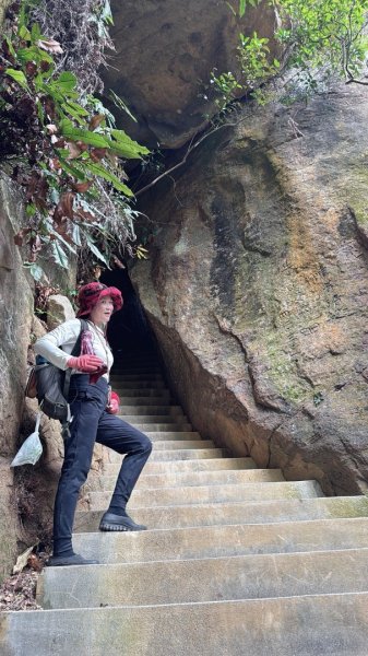圓通寺烘爐地登山步道大O走3007169