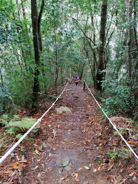 【台中。和平】谷關七雄入門款。 唐麻丹山874525