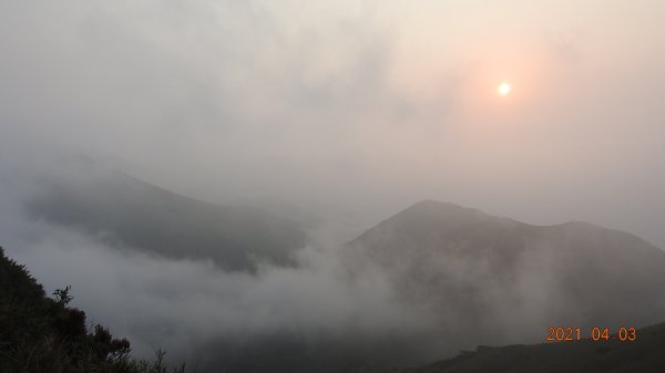 0403仙境般雲霧飄渺，陽明山再見雲海&夕陽，觀音圈雲瀑若隱乍現1331568