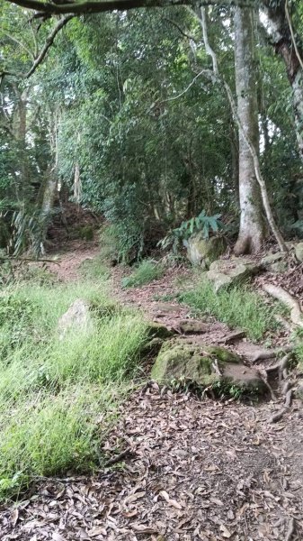 20251004 馬那邦山 - 珠湖 登山口2904833