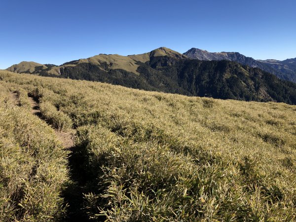 2019_1215_奇萊南峰_南華山2015825