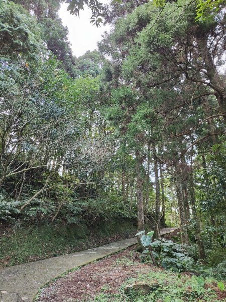 2023.12.27 東眼山2838841