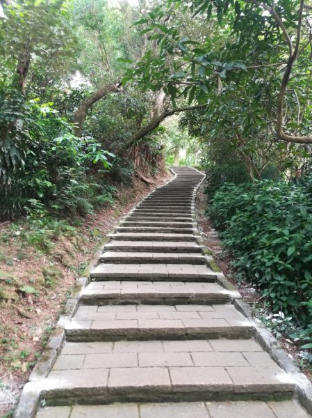 小百岳013號～南港山，幾乎整路爬樓梯，不怕樓梯者限定1348528