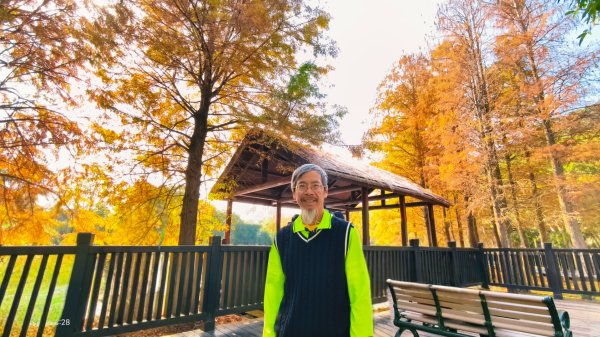 #花卉試驗中心 #永公路500巷 #平菁街42巷 #原住民公園 #士林官邸 1/42980408