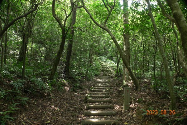 基隆 頂寮山、龍門山、五分山、頂子寮山2265985