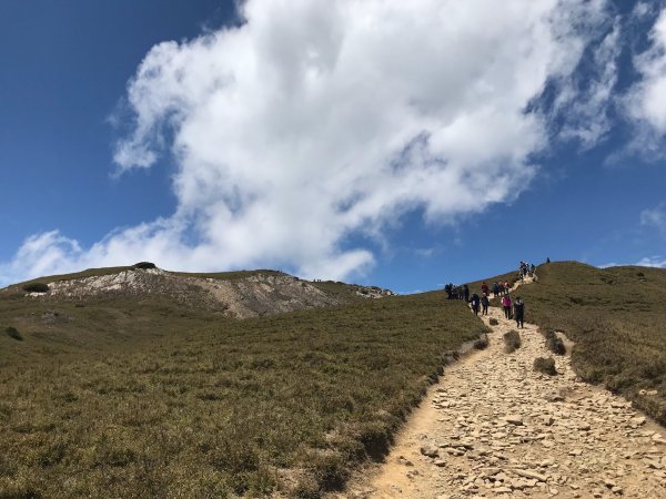 2020/05/02 合歡北峰封面