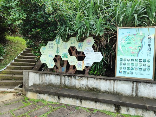 南子吝步道續走台二線到鼻頭角步道一日遊2512021