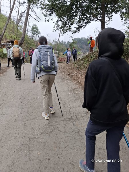 2025.02.08 限時秘境?菜市場? 北港溪峽谷步道2708998