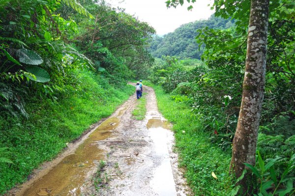 淡蘭古道中路之中坑、崩山坑古道O型685806