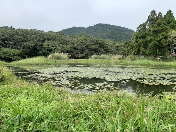 金包里魚路古道。秋的色彩714856