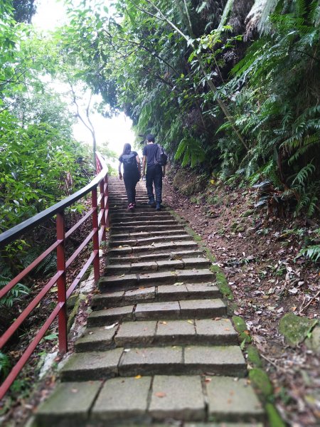 城市裡就能感受山林綠意~象山親山步道778677