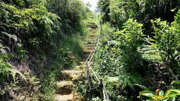 中山峽谷步道,海興步道,情人湖登山步道2581363