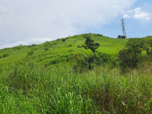 龍井竹坑南寮步道(C去主回)+竹坑山2263087