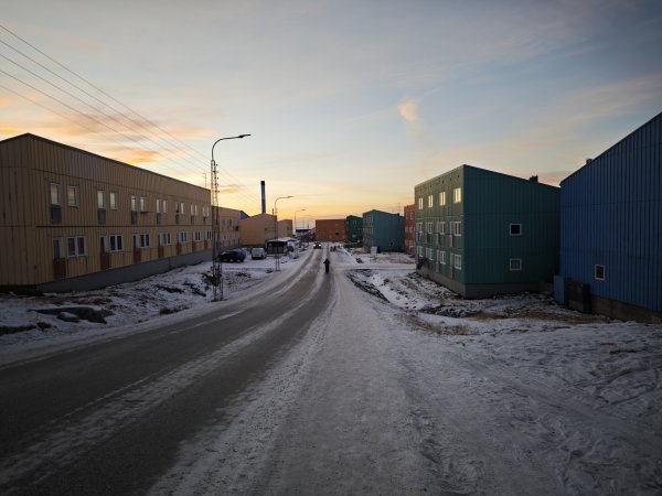 [紐約馬之行-32] 2025_1106 格陵蘭犬2947913