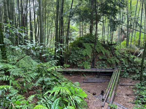 陡上陡下的溪頭鳳凰山1872926