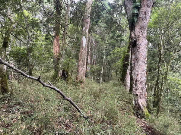 2025_0622 霞喀羅大山2819213