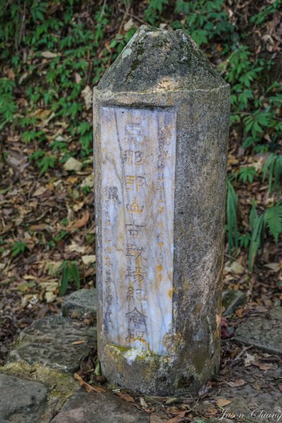 [苗栗]馬那邦山2355194