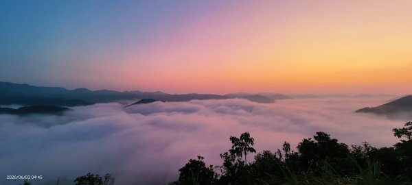 #坪林 #火燒雲 #日出 #雲海 #觀音圈 #金山 #花鳥蝶 6/3&4&163068874