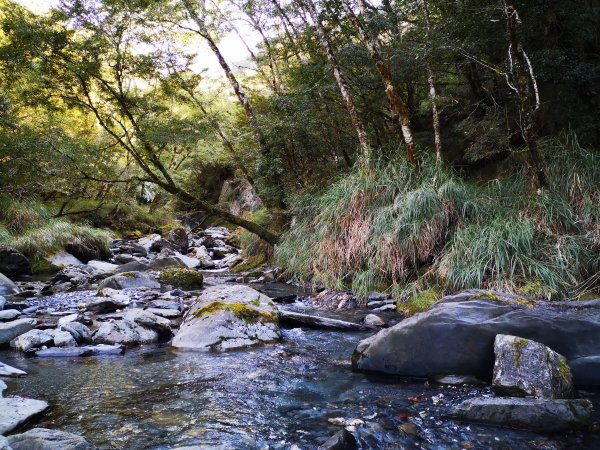 屏風山--岳界說的鳥山，其實不鳥～很辣703253