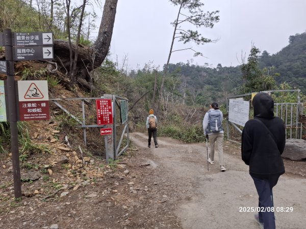2025.02.08 限時秘境?菜市場? 北港溪峽谷步道2708999
