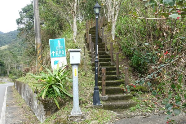 觀音台 水柳腳登山步道3085164
